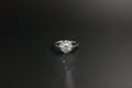 065- 18ct White Gold 1.00ct Solitaire Diamond Ring