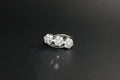 068-18ct White Gold Triple Cluster Diamond Ring