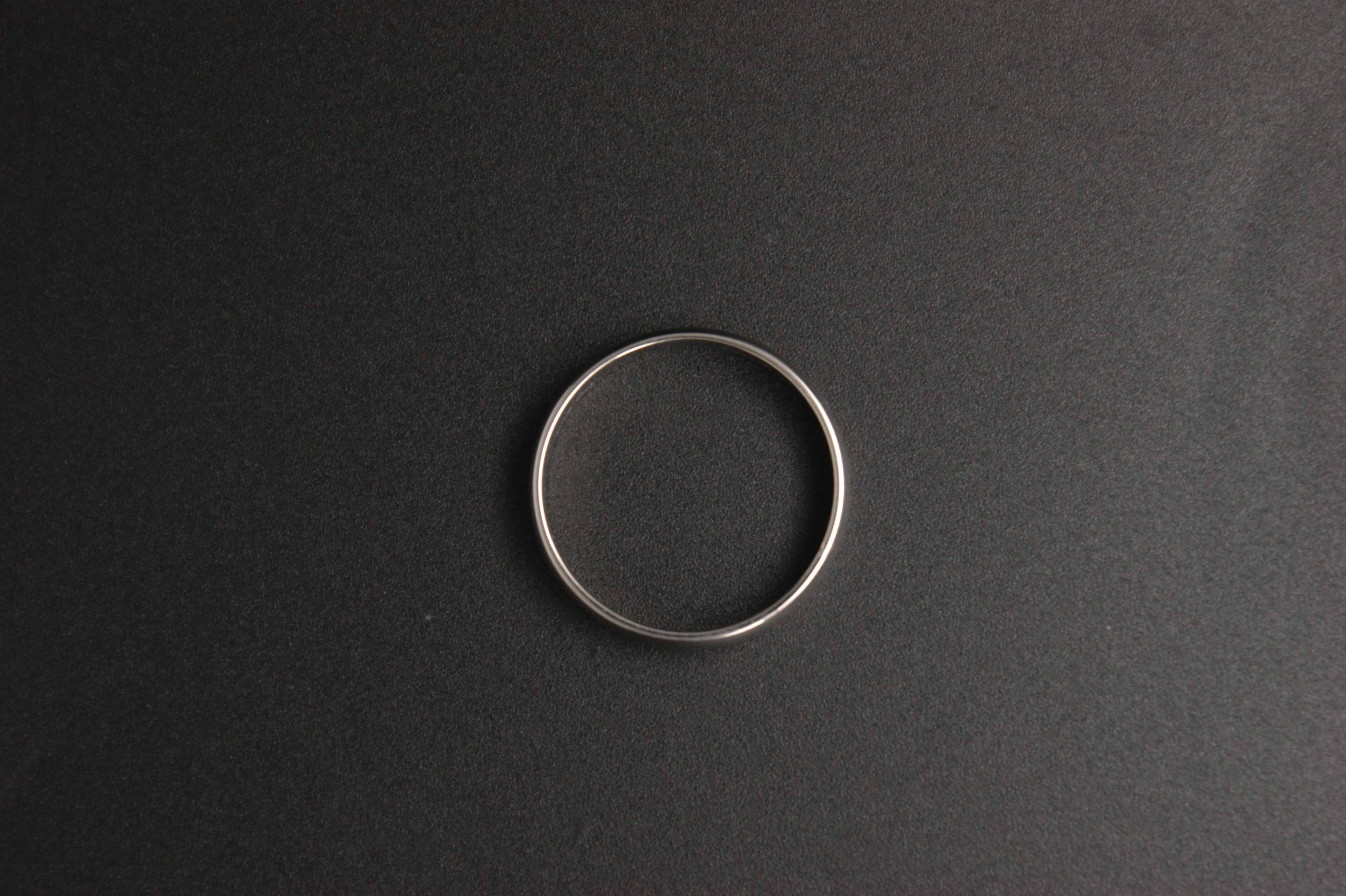 0106- Palladium Plain Court Wedding Ring