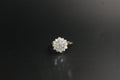 0151-9ct Gold Cubic Zirconia Cluster Ring