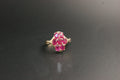 0211- 9ct Yellow Gold Ruby Cluster Ring